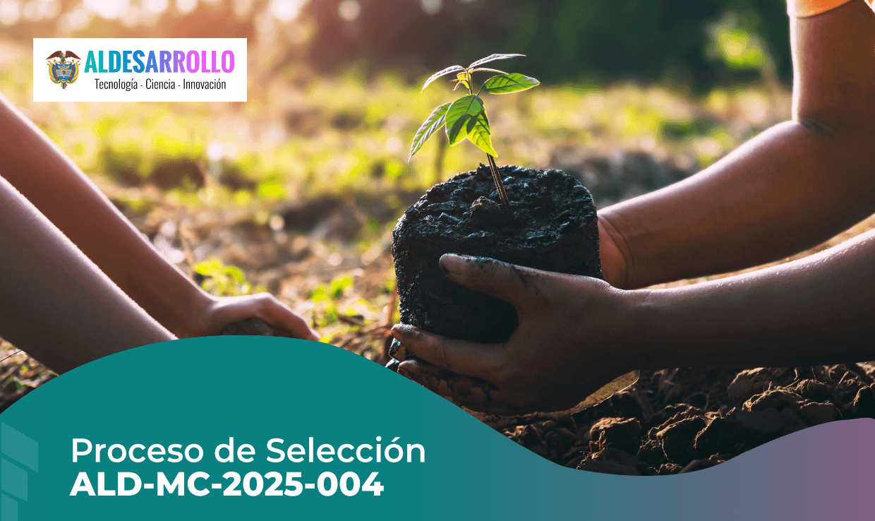 PROCESO DE SELECCIÓN ALD-MC-2025-004