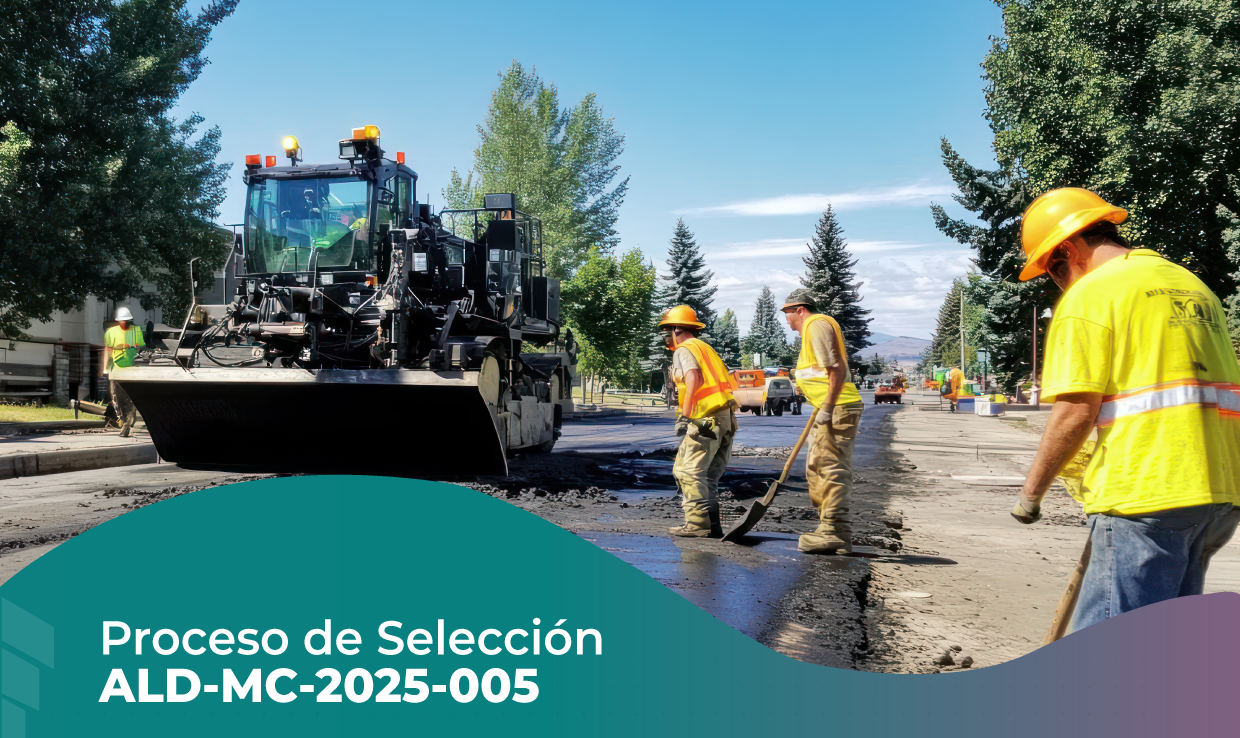 PROCESO DE SELECCIÓN ALD-MC-2025-005