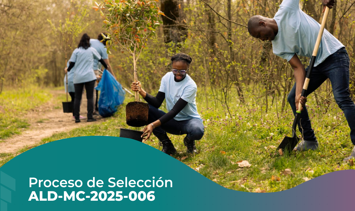 PROCESO DE SELECCIÓN ALD-MC-2025-006