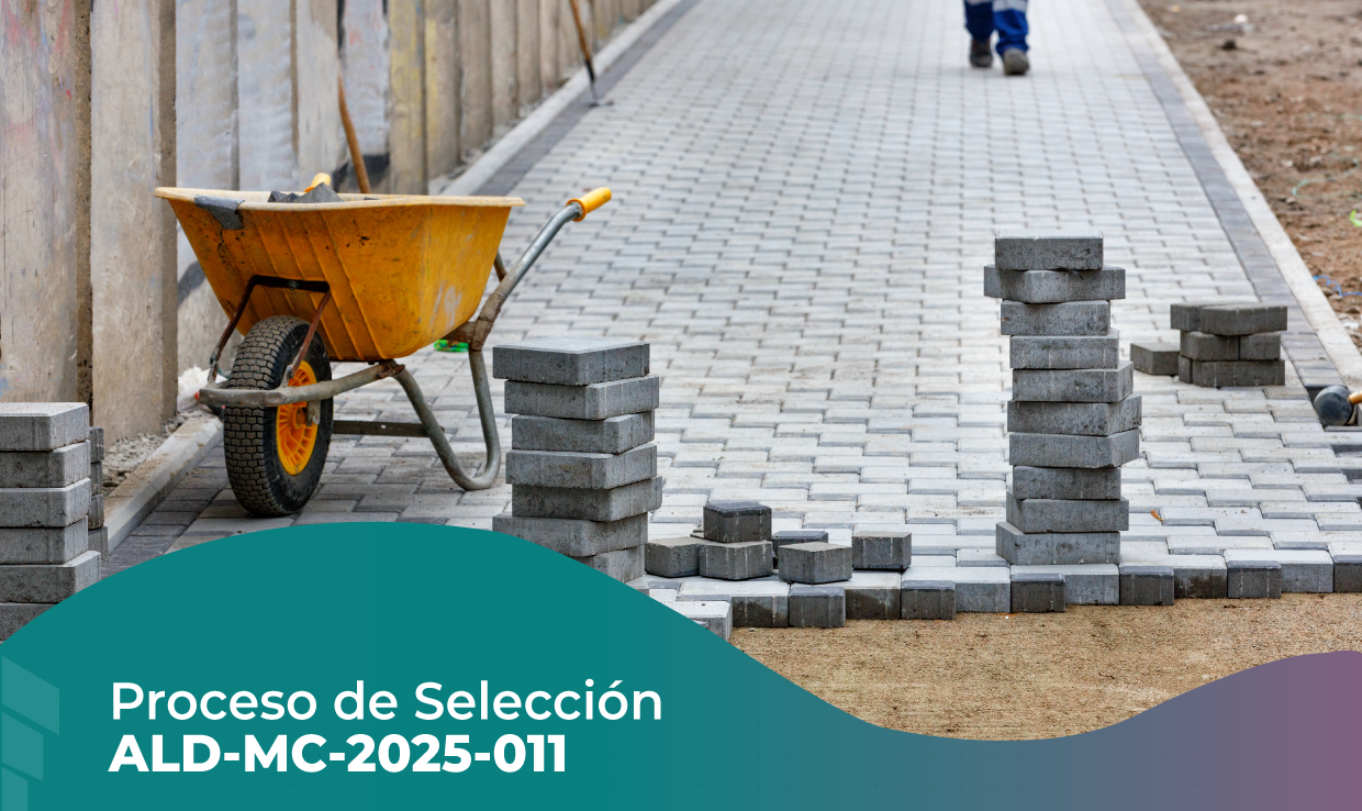PROCESO DE SELECCIÓN ALD-MC-2025-011