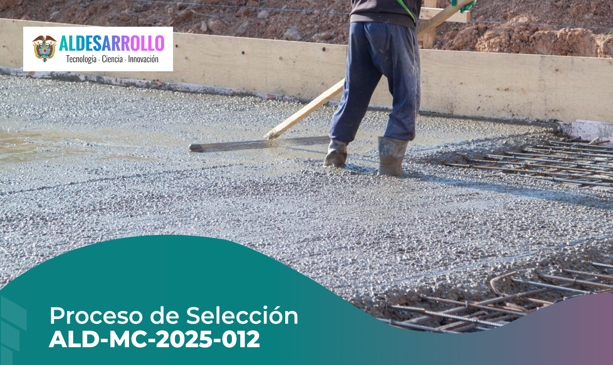 PROCESO DE SELECCIÓN ALD-MC-2025-012