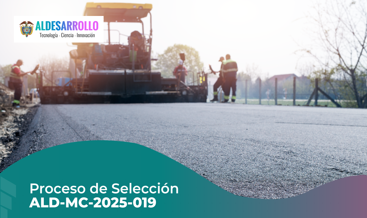 PROCESO DE SELECCIÓN ALD-MC-2025-019