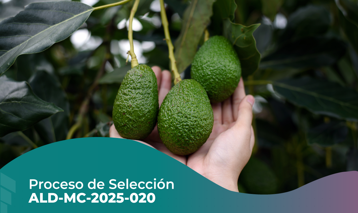 PROCESO DE SELECCIÓN ALD-MC-2025-020