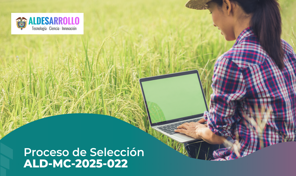 PROCESO DE SELECCIÓN ALD-MC-2025-022